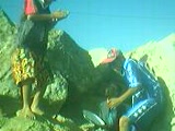 Vido simo wael