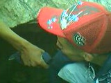Vido choumicha